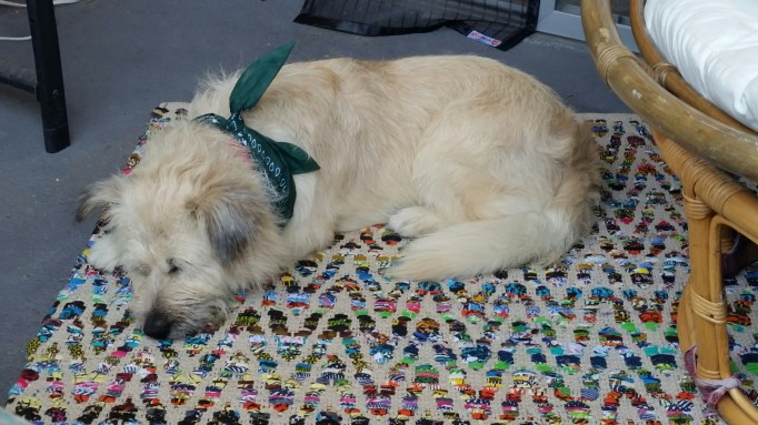 20150821_154439.jpg image