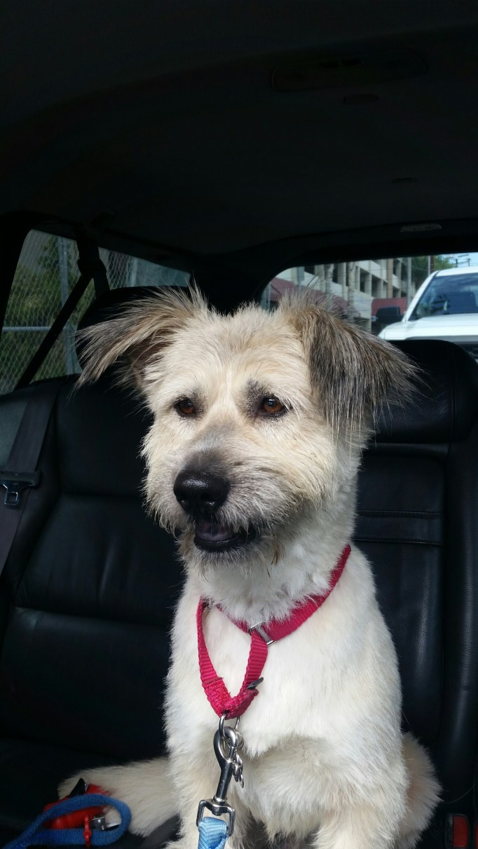 20150914_122539.jpg image